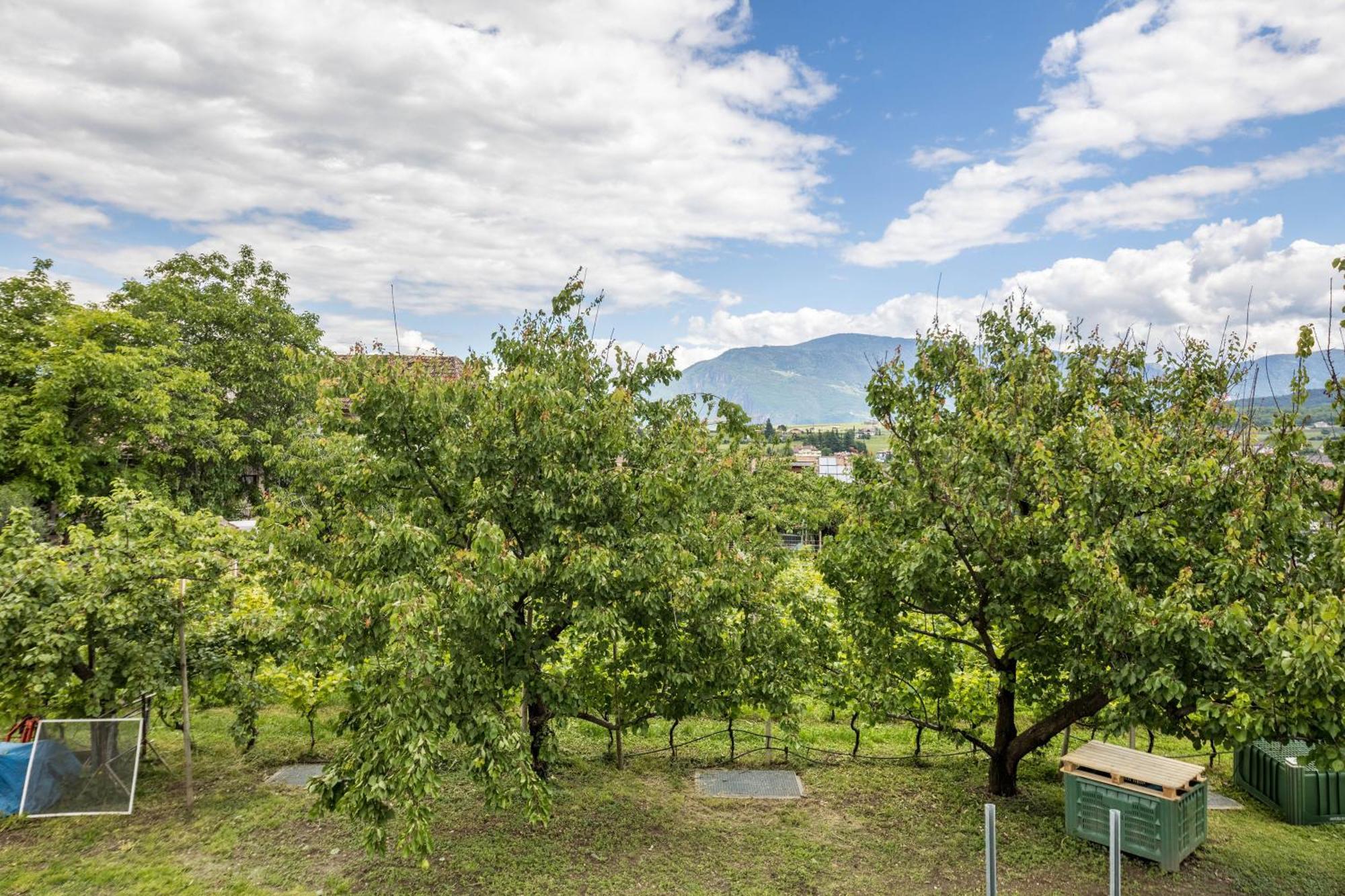 Angerblick Apartment Appiano Sulla Strada Del Vino Luaran gambar