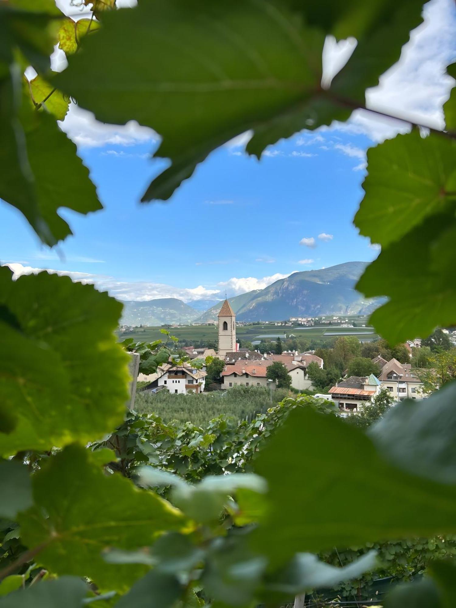 Angerblick Apartment Appiano Sulla Strada Del Vino Luaran gambar